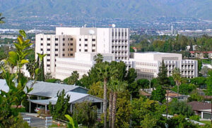 Read more about the article Loma Linda