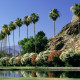 Read more about the article Palm Springs